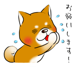 Japanese Shiba Inu Sticker. sticker #4727028