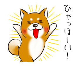 Japanese Shiba Inu Sticker. sticker #4727033