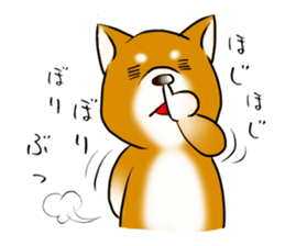 Japanese Shiba Inu Sticker. sticker #4727034