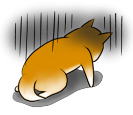 Japanese Shiba Inu Sticker. sticker #4727035