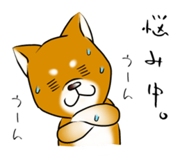 Japanese Shiba Inu Sticker. sticker #4727039