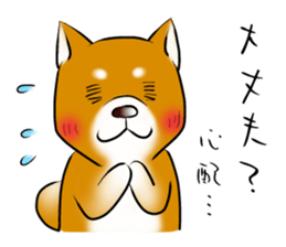 Japanese Shiba Inu Sticker. sticker #4727046