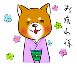Japanese Shiba Inu Sticker. sticker #4727050