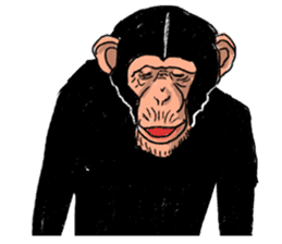 The monkey sticker #4729425
