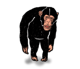 The monkey sticker #4729432