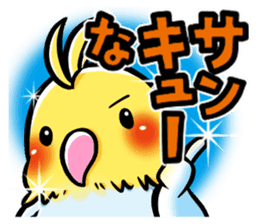 Wonderful talking of the parakeet sticker #4729978