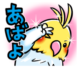 Wonderful talking of the parakeet sticker #4729980