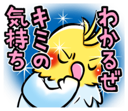 Wonderful talking of the parakeet sticker #4729982