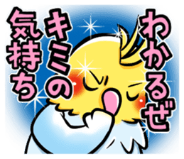 Wonderful talking of the parakeet sticker #4729982