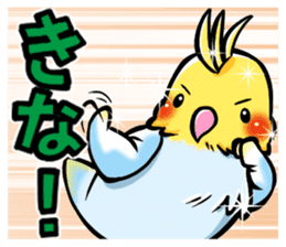 Wonderful talking of the parakeet sticker #4729984