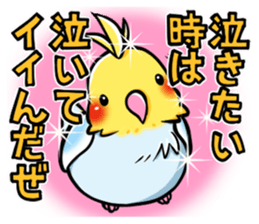 Wonderful talking of the parakeet sticker #4729987