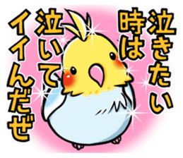 Wonderful talking of the parakeet sticker #4729987