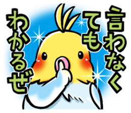 Wonderful talking of the parakeet sticker #4729988