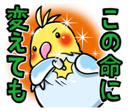 Wonderful talking of the parakeet sticker #4729993