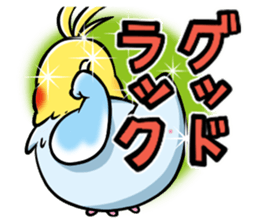 Wonderful talking of the parakeet sticker #4729995