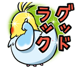 Wonderful talking of the parakeet sticker #4729995