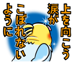 Wonderful talking of the parakeet sticker #4729996