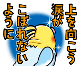 Wonderful talking of the parakeet sticker #4729996