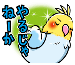 Wonderful talking of the parakeet sticker #4729999