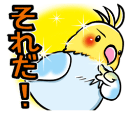 Wonderful talking of the parakeet sticker #4730000