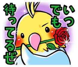 Wonderful talking of the parakeet sticker #4730002