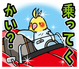 Wonderful talking of the parakeet sticker #4730003