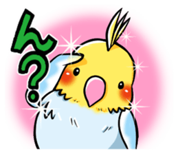 Wonderful talking of the parakeet sticker #4730006