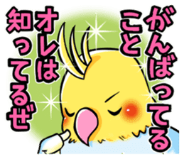 Wonderful talking of the parakeet sticker #4730009
