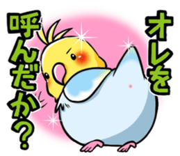 Wonderful talking of the parakeet sticker #4730010