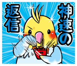 Wonderful talking of the parakeet sticker #4730013