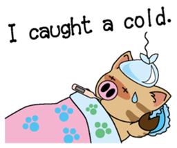 Cat of a pig English version sticker #4734132