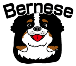 Bernese Mountain Dog molfy sticker #4734704