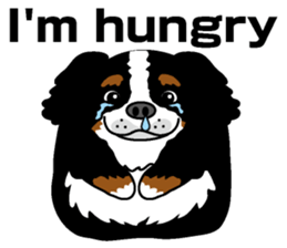 Bernese Mountain Dog molfy sticker #4734707