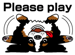 Bernese Mountain Dog molfy sticker #4734708