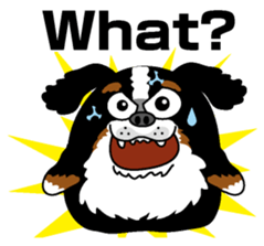 Bernese Mountain Dog molfy sticker #4734709