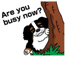 Bernese Mountain Dog molfy sticker #4734711