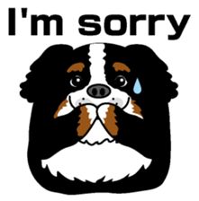 Bernese Mountain Dog molfy sticker #4734712