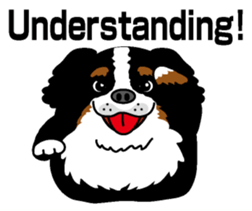 Bernese Mountain Dog molfy sticker #4734713