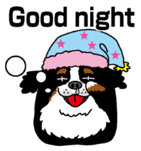 Bernese Mountain Dog molfy sticker #4734714