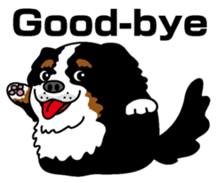 Bernese Mountain Dog molfy sticker #4734715