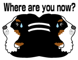 Bernese Mountain Dog molfy sticker #4734716