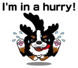 Bernese Mountain Dog molfy sticker #4734717