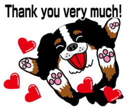 Bernese Mountain Dog molfy sticker #4734718