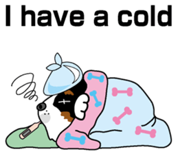 Bernese Mountain Dog molfy sticker #4734719