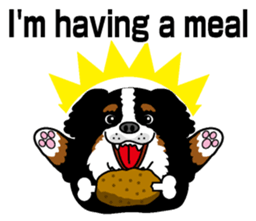 Bernese Mountain Dog molfy sticker #4734720