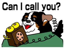 Bernese Mountain Dog molfy sticker #4734724