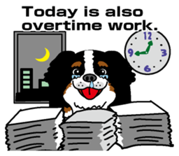 Bernese Mountain Dog molfy sticker #4734725