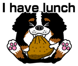 Bernese Mountain Dog molfy sticker #4734726