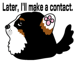 Bernese Mountain Dog molfy sticker #4734728