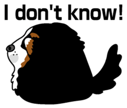 Bernese Mountain Dog molfy sticker #4734729